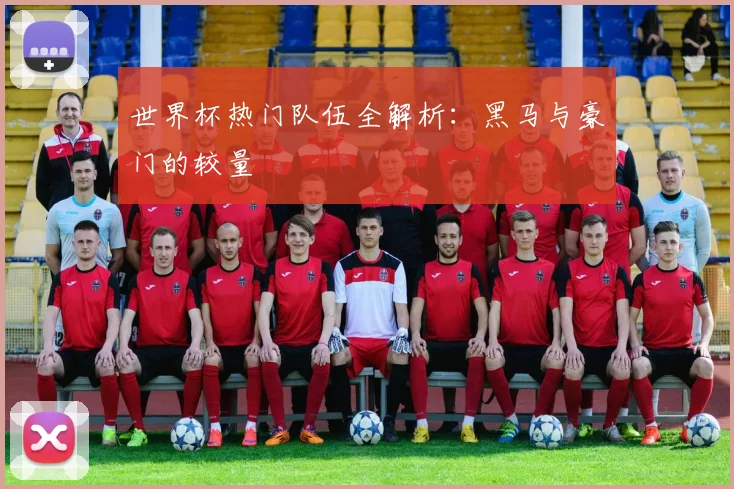 世界杯热门队伍全解析：黑马与豪门的较量