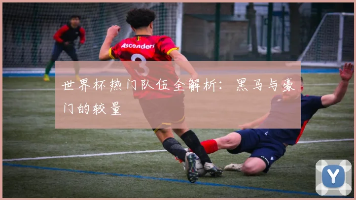 世界杯热门队伍全解析：黑马与豪门的较量